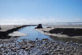 DSC_1383 (1)