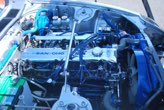 DSC_5064