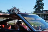 DSC_5917.JPG