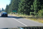 DSC_5925.JPG