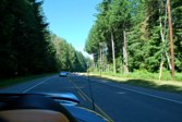 DSC_6007.JPG