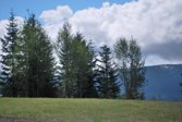 DSC_3914.JPG