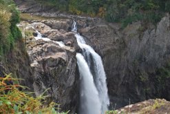 DSC_3521 (1)